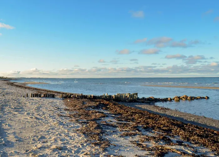 Hébergement de vacances In Glesborg With Sauna Glesborg